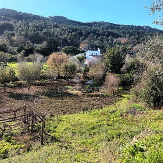 /international/pt/santa-maria-da-devesa-castelo-de-vide-portalegre-310103006345/