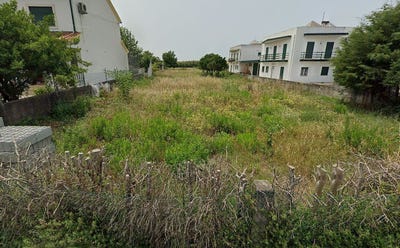 /international/pt/santo-varao-coimbra-120093352931/