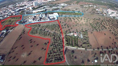 /international/pt/beja-beja-120087941964/