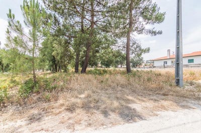 /international/pt/leiria-leiria-310108323685/
