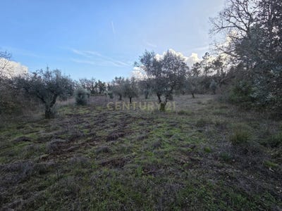/international/pt/xggv-f7-alvorge-portugal-alvorge-leiria-310104986924/