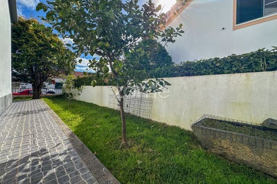 /international/pt/ponta-delgada-azores-120082105087/