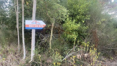 /international/pt/obidos-leiria-310102847808/