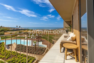 /international/pt/loule-faro-310108893319/