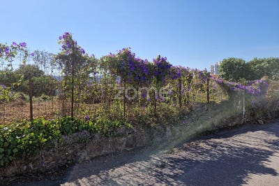 /international/pt/sao-joao-da-madeira-aveiro-120078937300/