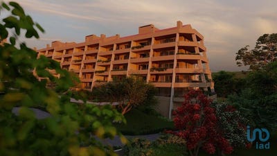 /international/pt/sao-joao-da-madeira-aveiro-310101188664/?lang=it