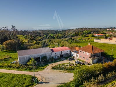 /international/pt/alfeizerao-leiria-310107294964/