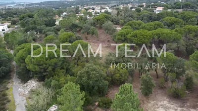 /international/pt/barreiro-setubal-municipality-310104280355/