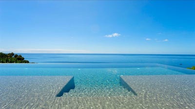 /international/pt/canhas-madeira-310107415056/