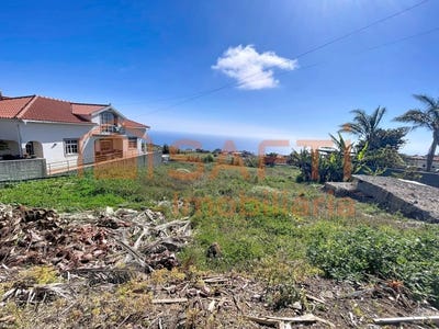 /international/pt/canhas-madeira-310107558977/