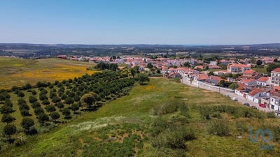 /international/pt/gaeiras-leiria-120092285993/