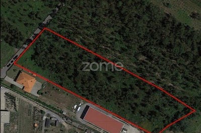 /international/pt/santo-tirso-braga-120060886704/