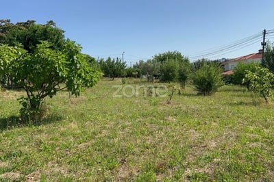 /international/pt/vila-real-vila-real-310104172497/