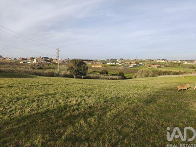 /international/pt/leiria-leiria-310105374271/