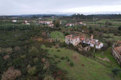 /international/pt/oliveira-do-hospital-e-sao-paio-de-gramacos-coimbra-district-310098470524/