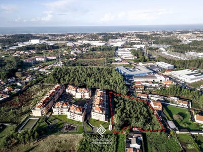/international/pt/canelas-porto-310105009042/