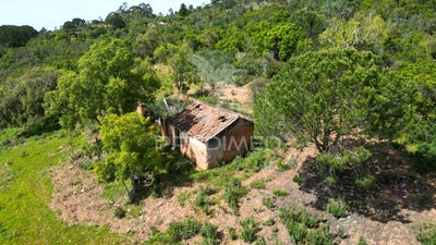 /international/pt/sao-teotonio-odemira-beja-310096796791/