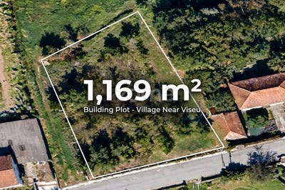 /international/pt/satao-viseu-310106044096/