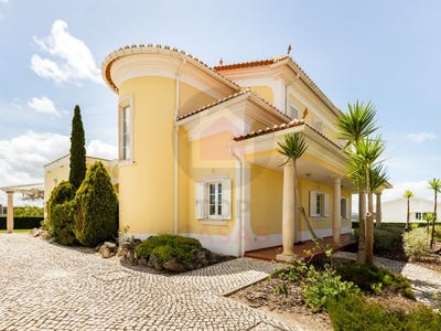 /international/pt/nadadouro-leiria-310107492453/