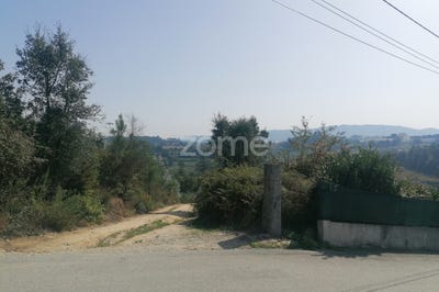 /international/pt/trofa-vila-real-120064363752/?lang=zh-tw