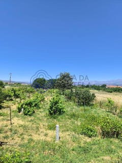 /international/pt/fundao-castelo-branco-310109176075/