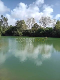 /international/pt/leiria-leiria-310105987478/
