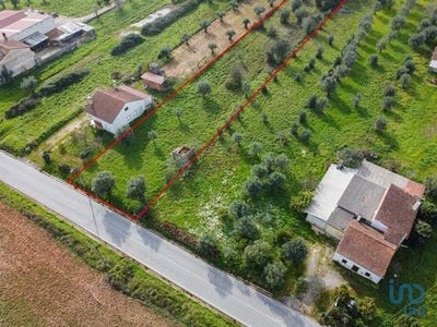 /international/pt/ferreira-do-zezere-santarem-120097652581/