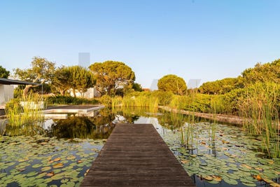 /international/pt/grandola-setubal-municipality-310105244012/