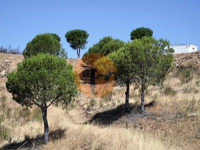 /international/pt/corte-do-gago-castro-marim-faro-310105103617/