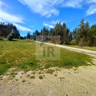 /international/pt/alcobaca-viana-do-castelo-310108081187/