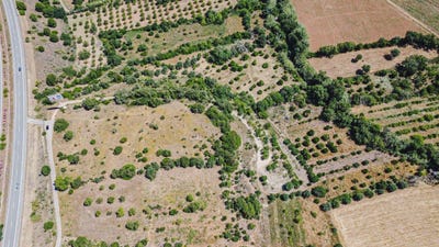 /international/pt/cm-1171-553a-8200-portugal-paderne-viana-do-castelo-310106412748/