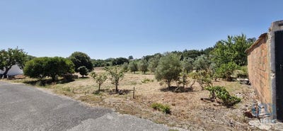 /international/pt/lisboa-lisbon-310100988953/