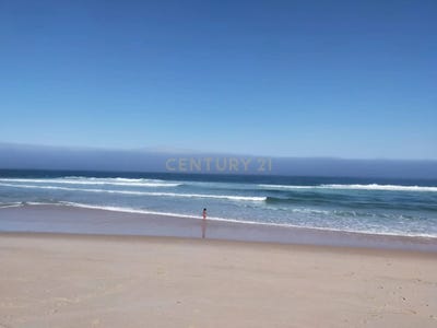 /international/pt/sao-pedro-santarem-310100666071/