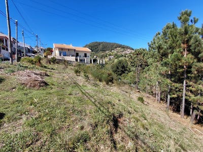 /international/pt/gaula-madeira-310104190975/