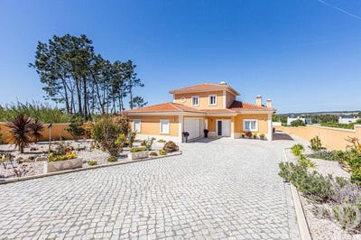 /international/pt/nadadouro-leiria-310107295505/