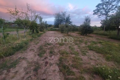 /international/pt/mangualde-viseu-310108212805/