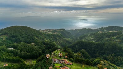 /international/pt/camacha-madeira-310104962419/