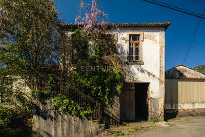 /international/pt/rua-do-salgueiro-santiago-de-riba-ul-portugal-oliveira-de-azemeis-aveiro-310106938374/