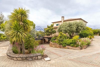/international/pt/vimioso-braganca-310108995116/?lang=es