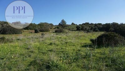 /international/pt/vila-do-bispo-faro-310101387273/