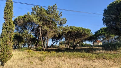 /international/pt/nadadouro-leiria-310101356710/?lang=zh-tw