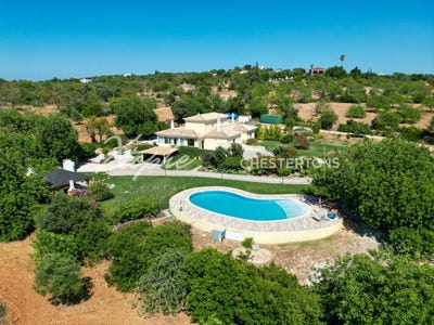 /international/pt/boliqueime-loule-faro-310101160732/?lang=zh-tw