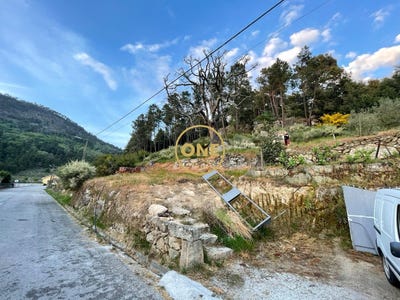 /international/pt/longa-viana-do-castelo-310108210890/