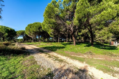 /international/pt/melides-setubal-municipality-310106574732/