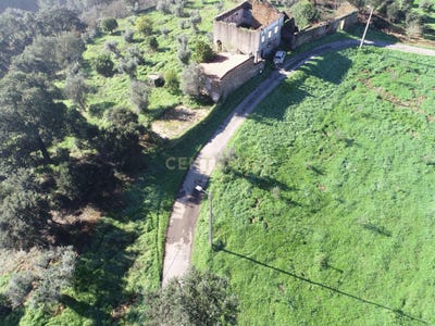 /international/pt/rua-do-casal-6100-cernache-do-bonjardim-portugal-cernache-do-bonjardim-castelo-branco-310103243816/