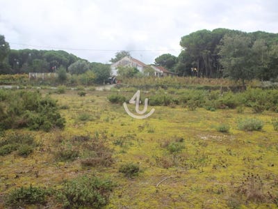 /international/pt/nossa-senhora-da-piedade-santarem-310099317029/