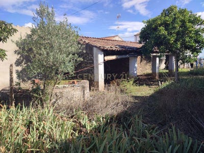 /international/pt/fontana-monte-do-meio-perais-castelo-branco-310105248837/