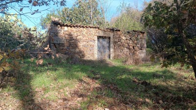 /international/pt/salvador-portugal-salvador-santarem-310103783559/
