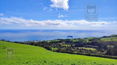 /international/pt/sao-miguel-azores-310103462115/