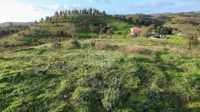 /international/pt/santa-clara-a-velha-beja-310106799435/
